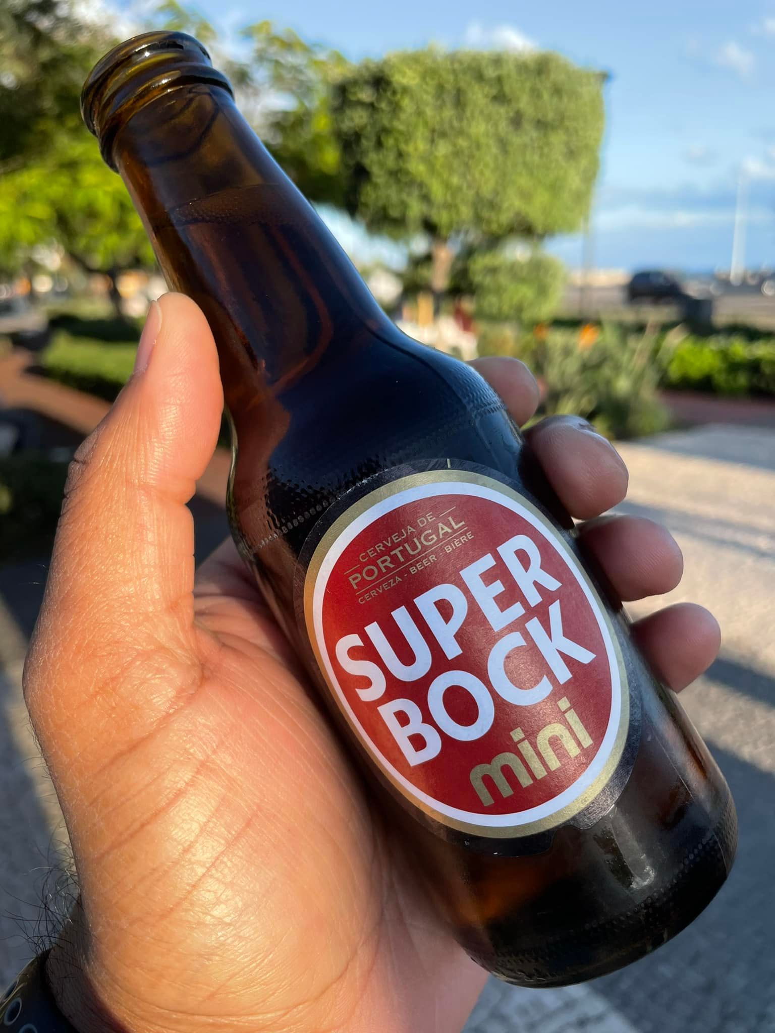 Super Bock
