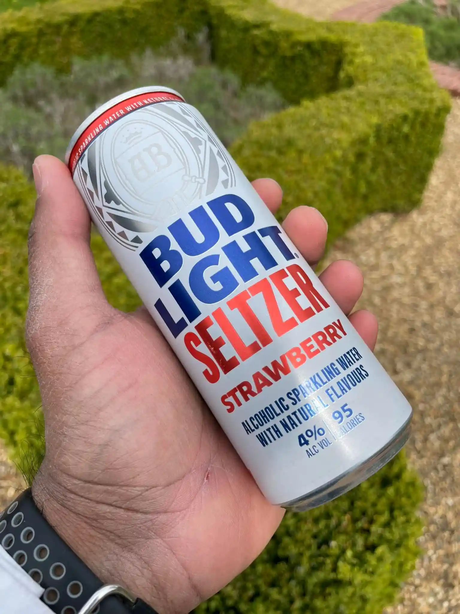 Bud Light Seltzer Strawberry
